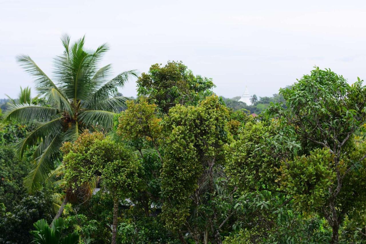 Heritage Eco Resort Kelaniya Dış mekan fotoğraf