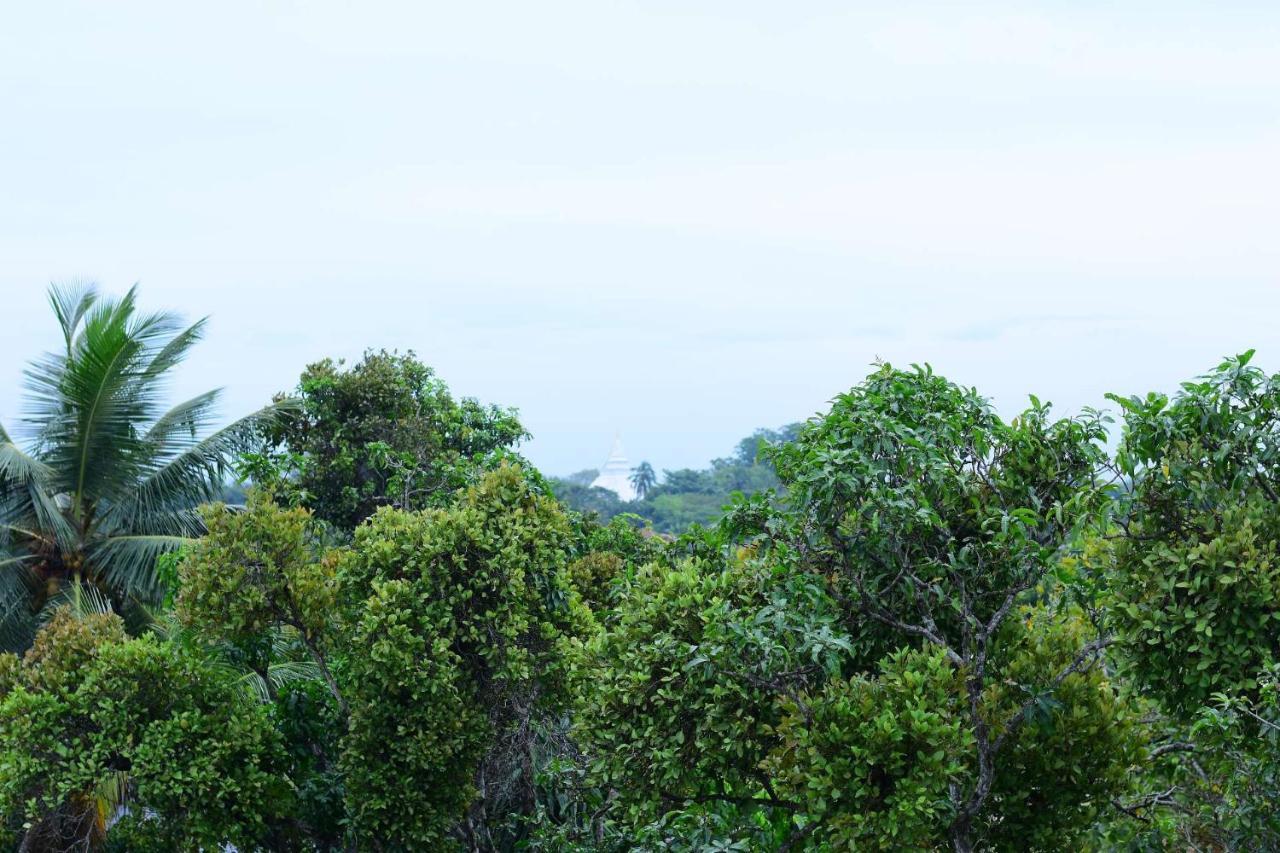 Heritage Eco Resort Kelaniya Dış mekan fotoğraf