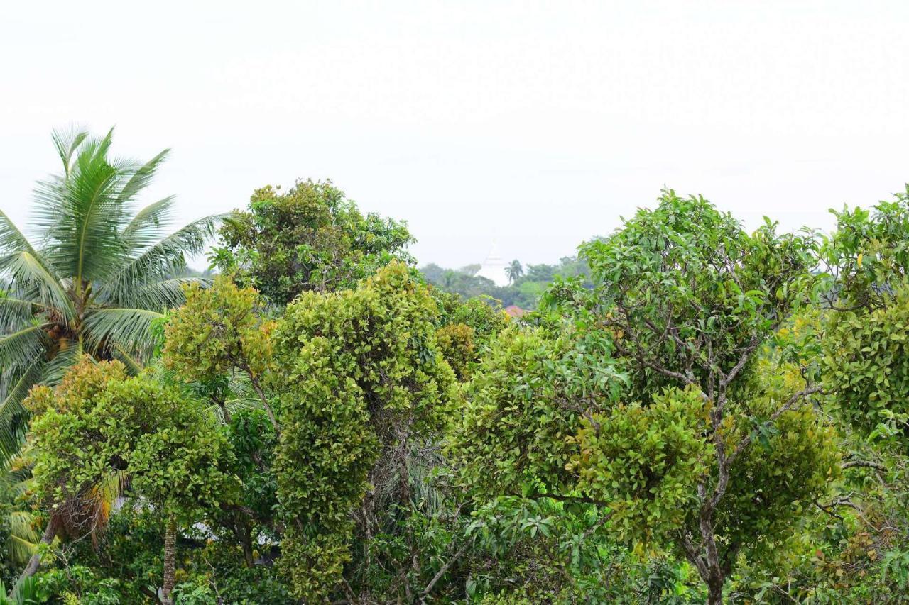 Heritage Eco Resort Kelaniya Dış mekan fotoğraf